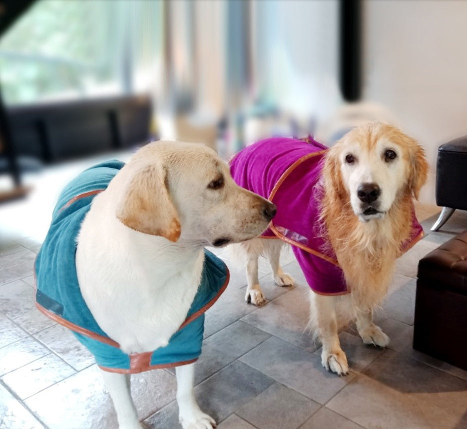 The Ultimate Drying Solution for Your Pets
